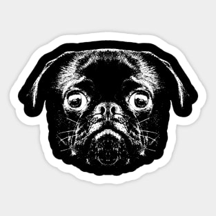 Pug / Face / Head Sticker